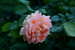 upload_2015-8-7_23-55-17.png
