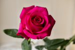upload_2015-8-8_0-3-42.png