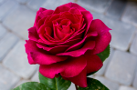 upload_2015-8-8_0-8-9.png