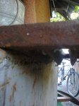 Фото0767.jpg