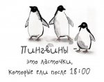 11880395_952504854812229_6490065056895470524_n.jpg