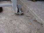 DSC04939.JPG