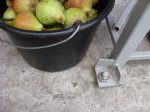 DSC04936.JPG