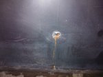 WP_000578.jpg