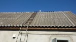 20150830_094911.jpg