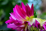 upload_2015-9-9_20-12-30.png
