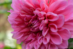 upload_2015-9-9_20-13-34.png