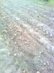 Фото0255.jpg