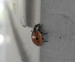 2015702102215-2.jpg