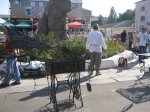 IMG_3353.JPG