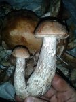 20150925_181009.jpg