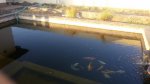 20150926_175451.JPG
