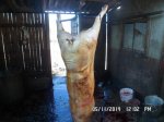 SAM_0309.jpg