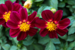 upload_2015-10-7_12-51-0.png