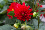 upload_2015-10-7_15-23-33.png