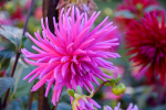 upload_2015-10-7_15-23-51.png
