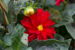 upload_2015-10-8_18-41-31.png