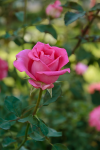 upload_2015-10-9_19-44-22.png