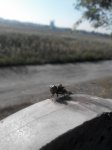 20151004094516.jpg