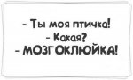 92.jpg