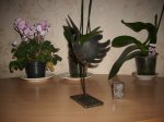 IMG_0900 - копия.JPG