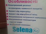 Зобр019.jpg