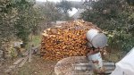 20151020_113740.jpg