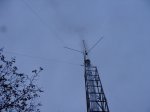 DSC04955a.JPG
