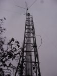 DSC04953a.JPG