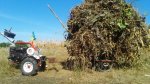 IMG_20150916_105645.jpg