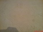 DSC00473.JPG