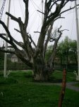 IMG_0187.JPG