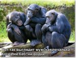 печалька.jpg