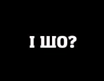 12341505_553312374837903_5592565738699067958_n.jpg