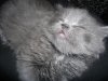 DSCF9166.jpg