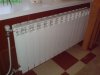 DSC02539.jpg