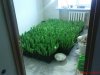 DSC00730.jpg