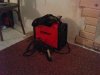 DSC00584.jpg