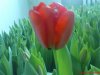 DSC00741.jpg