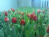 DSC00752.jpg