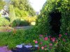 Фото0263.jpg