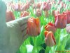 DSC00773.jpg