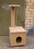 DSC07996.JPG