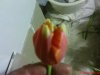 DSC00778.jpg