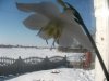 DSCF9248.jpg