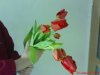 DSC00801.jpg