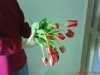 DSC00802.jpg