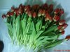 DSC00803.jpg