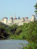 DSC00505.jpg