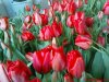 DSC00818.jpg